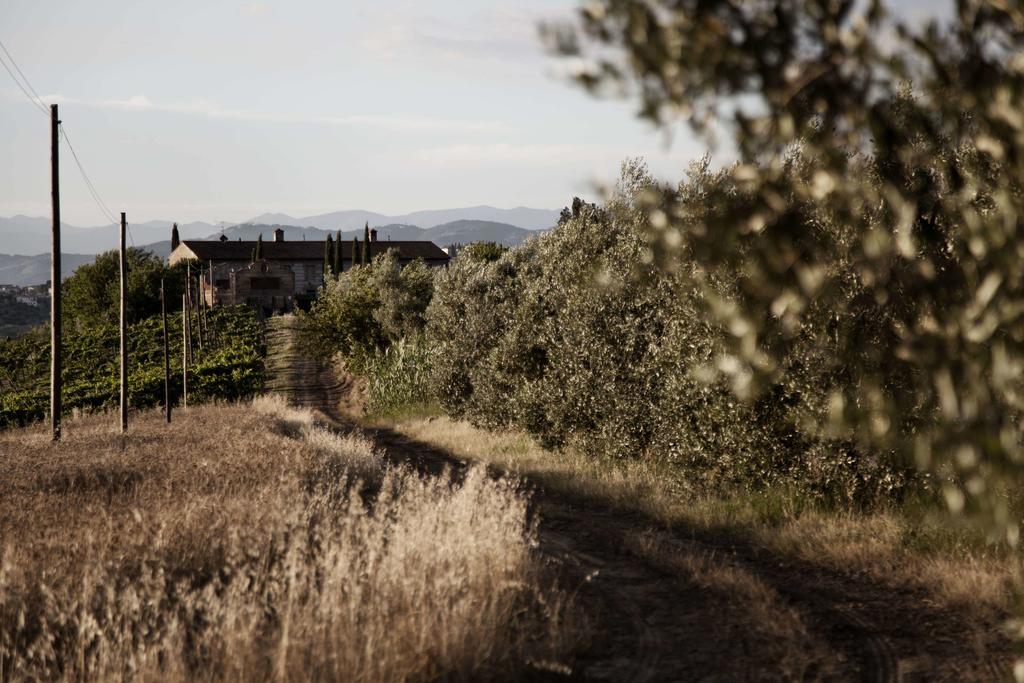 Tenuta Di Colle Alberti Cerreto Guidi Exterior photo