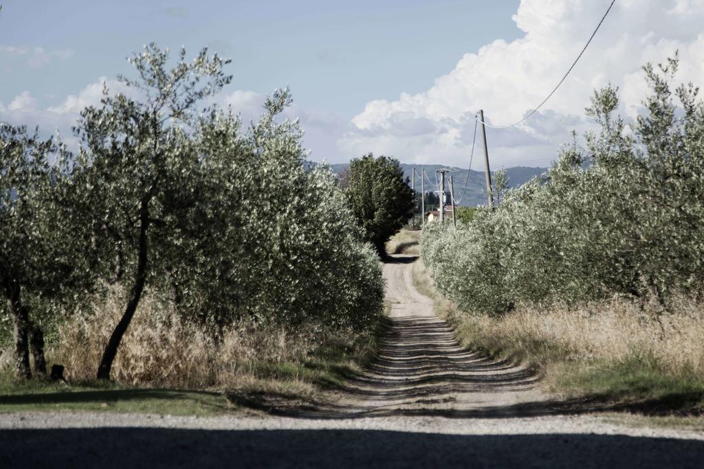 Tenuta Di Colle Alberti Cerreto Guidi Exterior photo